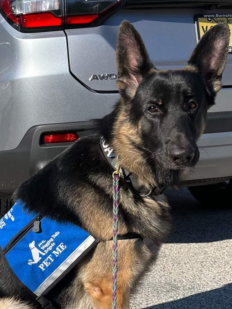 &quot;Koa’s coat is soft and shiny, his stools are good, his allergies are better, and he’s a healthy boy!  The pork blend is gold to us!&quot;